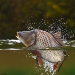 APE7fc879 Shutterstock 1234109923 APE7fc879 Shutterstock 1234109923