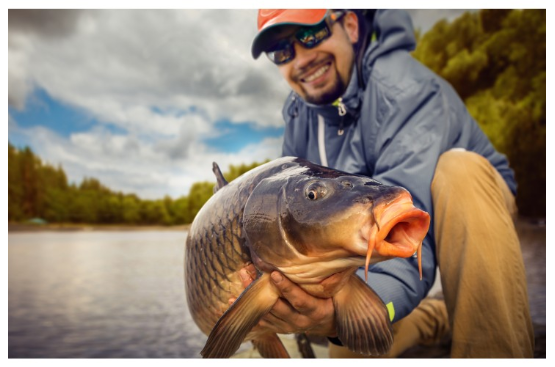 carp-fishing carp-fishing